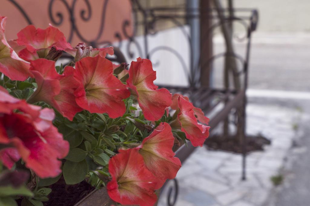 B&B Emporio Magione Buitenkant foto